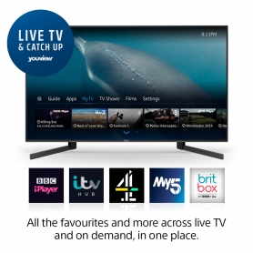 Sony KD49XH9505BU 49" 4K Ultra HD HDR Full Array LED Android TV with Google Assistant